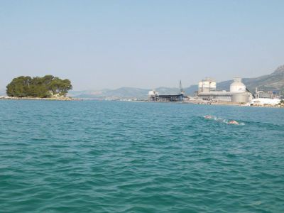 13692822 10206349565328507 7173978827165623732 O