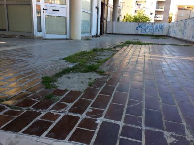 17621851 217639845385149 295907221772790970 O