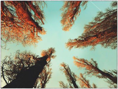 Sa Širine u visine...