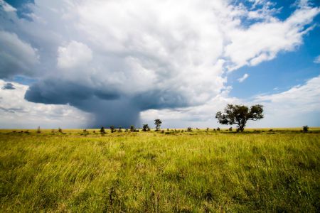 Sudden Storm by Rita La Visi Visigalli (Serengeti, Tanzania). Photo taken in the Serengeti, during a photographic safari, I was standing in the jeep to watch a group of cheetahs, when I accidentally turned on the other side I saw this incredible and unexpected atmosphere event.
