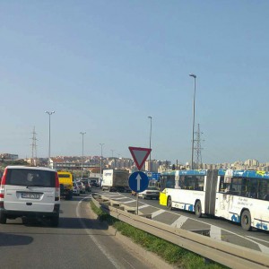 Guzve na brzoj cesti