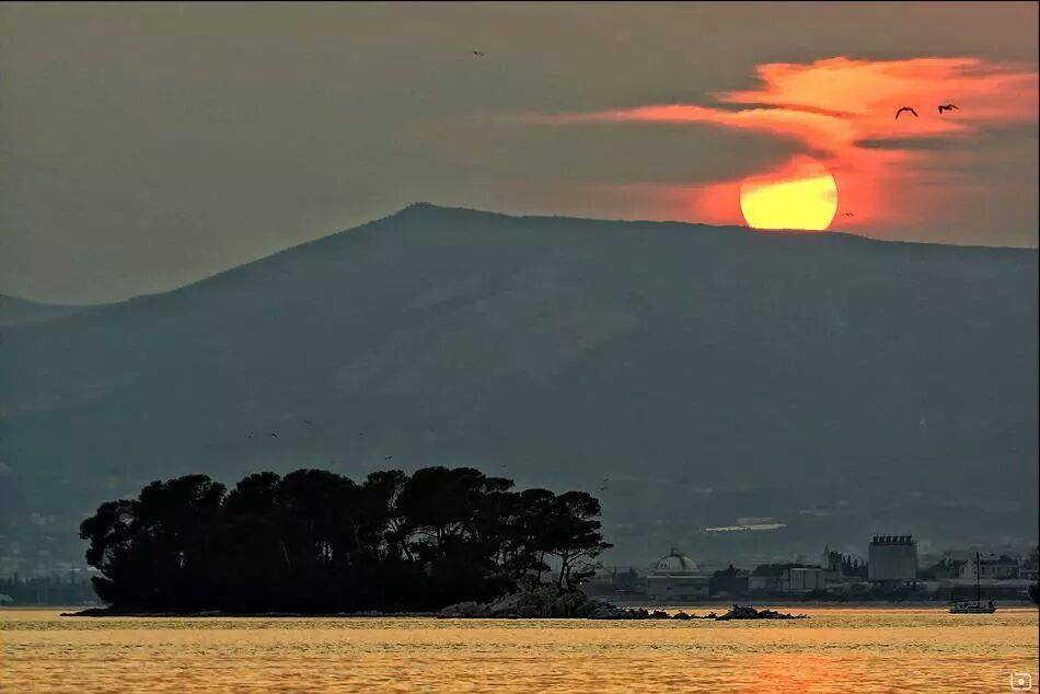 11047869_734938106636857_9126060499471120446_n