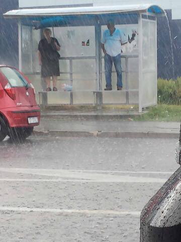 14364846_315277122161689_6466789372053712455_n