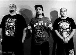 Hrvoje Bubić; RENATO SPADINI JUNIOR INTERVIEW