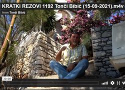 KRATKI REZOVI 1192 na internetu!