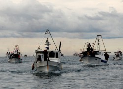 Javna tribina: Zašto službena potraga nije našla brodolomce?