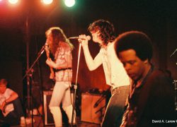 Hrvoje Bubić: JAIME – ROBERT JOHNSON INTERVIEW