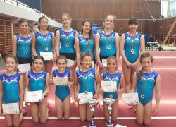 GIMNASTIKA II kolo Kupa Hrvatske za ABCD program | “Salto” ostvario izvrsne rezultate
