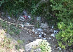 Smeću je mjesto u kanti za smeće, a ne u prirodi