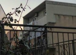 Zbilja, ponekad je najljepši cvijet  koji možeš pokloniti ženi…