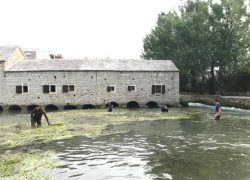 Članovi Ronilačko ekološkog kluba Solin očistili riku kod Gašpine mlinice