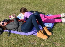 ĐIR PO SOLINU: Nedjelja 12. veljače