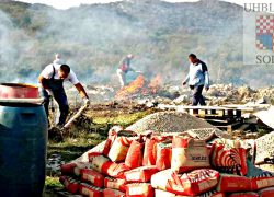 Grupa branitelja iz Solina odbila je sjediti na zidiću pa su na zapuštenom kršu pokrenuli velike stvari: “Želimo suborce maknuti od alkohola i suicida, ovo je naša ostavština za sve ljude!”