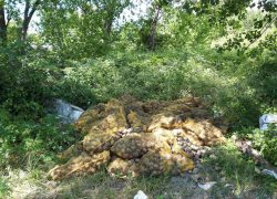 Kamion usmrđenih krumpira na Širini uz riku Jadro