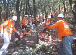 HPD Kozjak uz pomoć Grada i CEMEX-a uređuje Planinarski dom Putalj