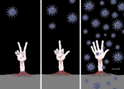 Kada će više novi  izbori da ponovo POBJEDIMO Koronu?