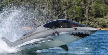 VIDEO Ovog morskog psa svi želimo na Jadranu!