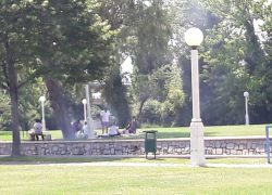 LJUDSKOJ GLUPOSTI NE VIDI SE KRAJA – Grill na Gospinom Otoku