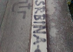 SAVEZNIK SVASTIKE U NOVOJ SULUDOJ AKCIJI