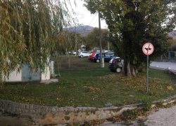 JEBEŠ TRAVU KOJU MORAŠ KOSIT, ZALIVAT I BRANIT OD PASJEG GOVNA, PROSPI ASFALT