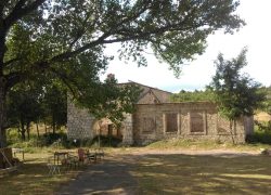 ĐIR PO VLA&Scaron;KOJ