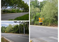 Nevjerojatno, ali istinito: džungla u srcu Solina!