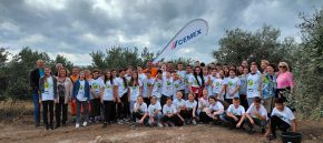 Solinski osnovnoškolci pomogli članovima Poljoprivredno-braniteljske zadruge Lintar u berbi maslina