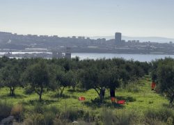 Poljoprivredno-braniteljska zadruga Lintar završila ovogodišnju berbu