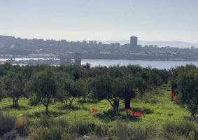 Poljoprivredno-braniteljska zadruga Lintar završila ovogodišnju berbu