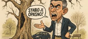 Čekamo li tragediju??? Komunalno Solin petu godinu ignorira opasna stabla na Širini