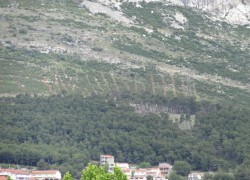 KAD ĆE KOZJAK IZGUBIT NEVINOST?