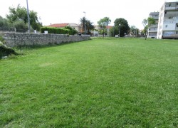 RJEŠENJE ZA PASJE PROBLEME