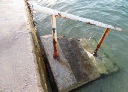 Mala Venecija okupana ruzinom