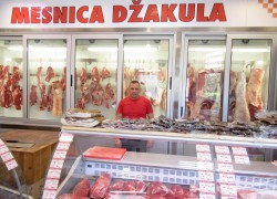 TAMO GDJE SU MOJI KORIJENI