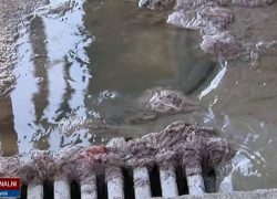 Na Japirku stanove poplavile otpadne vode