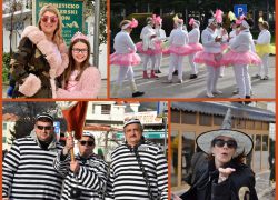 SOLINSKE MAČKARE 2018.