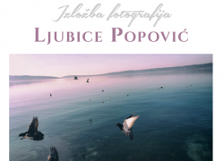 Otvaranje izložbe fotografija Ljubice Popović