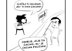 ĆORIĆ I ĆAĆINA POLITIKA