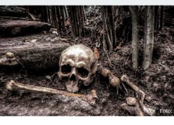 ZANIMLJIVO OTKRIĆE Sifilis je potekao iz Solina