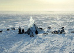 Polarni krug postaje privlačan za turiste