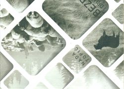 Predstavljanje zbirke poezije “Bezbroj i druge jednine” Nade Topic