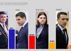 CRO DEMOSKOP HDZ i SDP u padu, Živi zid sve jači