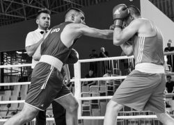 BOKS: Solinjani Damir i Zeljko pobjednici Slovenia Opena