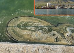 EKOCID U VRANJICU – Zašto nam trujete more?