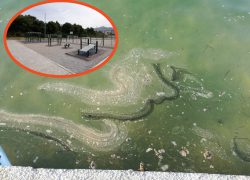 INA = MAKSI ZAGAĐIVAČI, MINI DONATORI