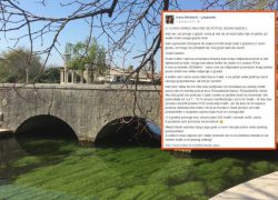 Ivana Ninčević Lesandrić:  “I U MOM GRADU NAJVISE SE POTICE JEDAN GAZDA”