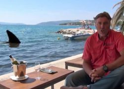 KRATKI REZOVI 1068 na internetu!