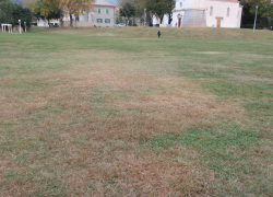 “GRAD SOLIN ZAPUSTIO JE JEDINU ZELENU POVRŠINU U GRADU”