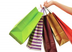 Pročitajte kako domaći šoping centri i trgovački lanci danas rade