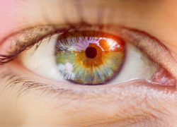 Uspjeh kirurga: U KBC-u Osijek transplantirana prva rožnica